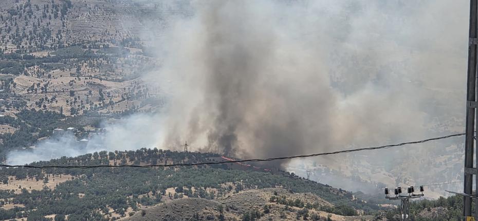 Adıyaman Gerger'deki Orman Yangınına Hızlı Müdahale Sürüyor