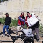 Kastamonu Hanönü'nde çeltik tarlasının ekimi drone ile gerçekleştirildi