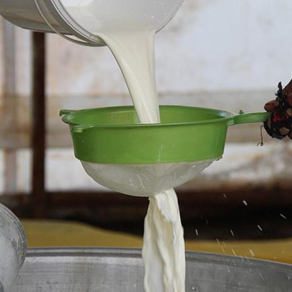 Türkiye'de 2023 yılında 21,5 milyon ton çiğ süt üretildi