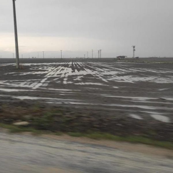 Konya'da şiddetli yağış: tarım arazileri sular altında kaldı