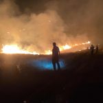 Şanlıurfa'da orman yangını – Son haberler