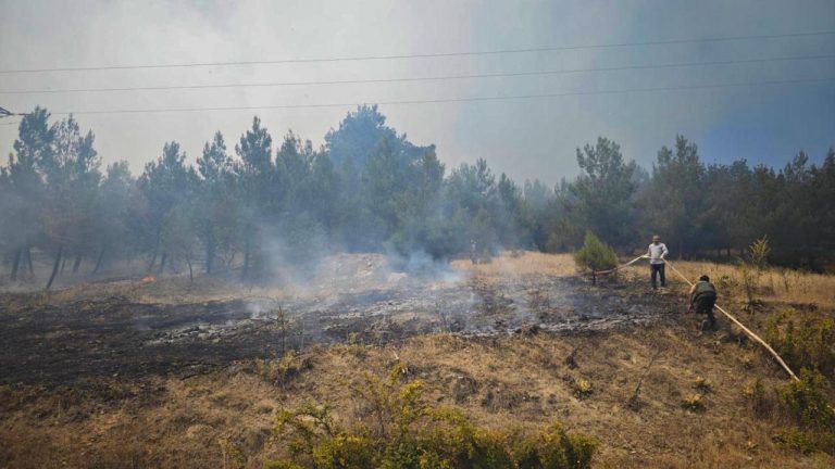 Bursa'daki orman yangınları kontrol altına alındı