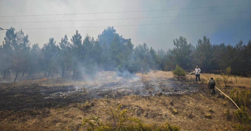 Bursa'daki orman yangınları kontrol altına alındı