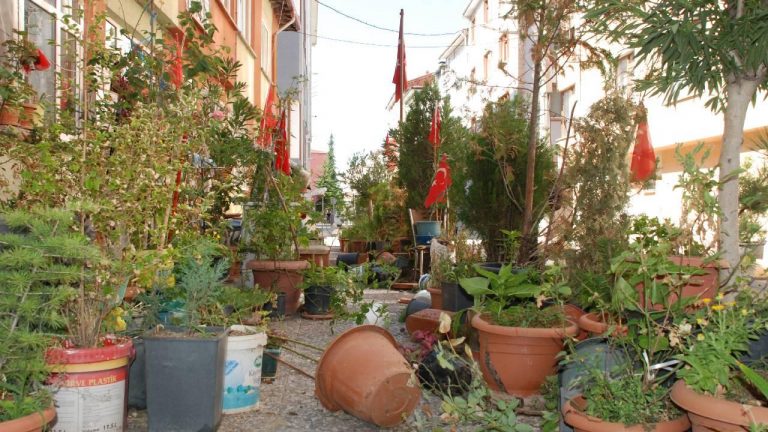 Eskişehir'de emekli iş adamının felçli eşi için evinin önüne yaptırdığı çiçeklik yıkıldı.