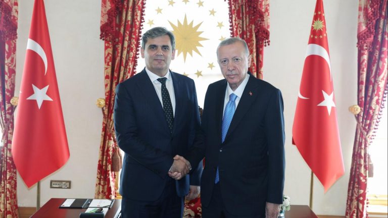 Cumhurbaşkanı Erdoğan, İbrahimoviç'le görüştü