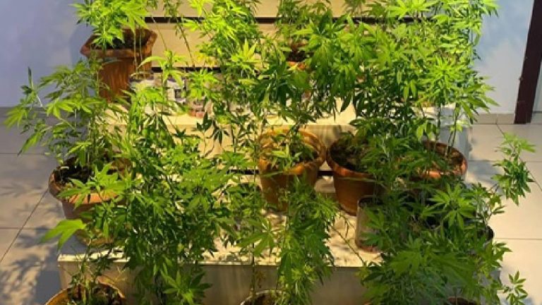 Çorum'da uyuşturucu operasyonuna katılan 5 şüpheli tutuklandı