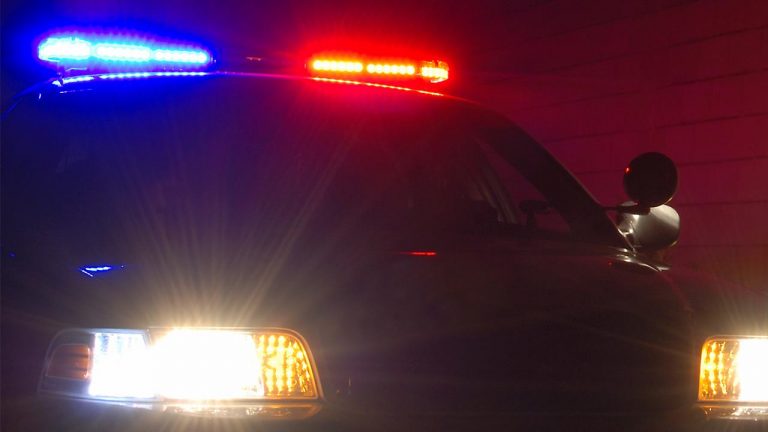 Adana'da operasyon ve denetimlerde 25 ruhsatsız silah ele geçirildi