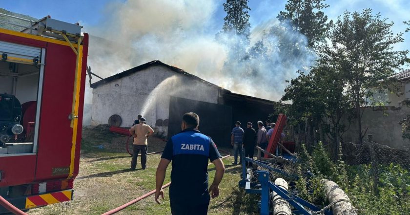 Samsun'da çıkan yangında samanlık ve odunluk zarar gördü