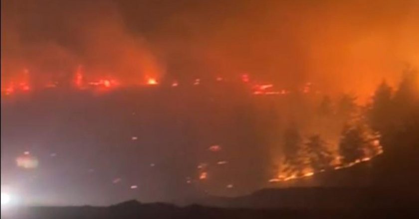 Kahramanmaraş'ta orman yangını – Son haberler