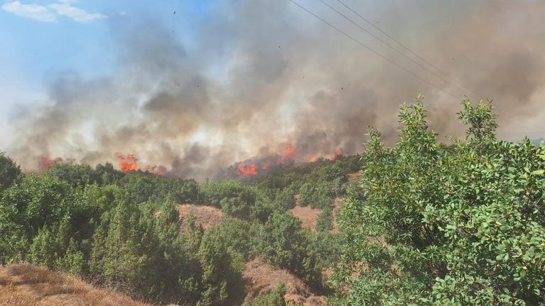 Bingöl'de orman yangını: Alevler ilçeye sıçradı