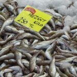 200-250 TL ile kapışılan en iyi ürün: Soğuyan havalarla fiyatı düşüyor!