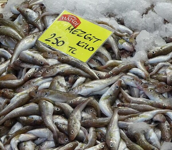 200-250 TL ile kapışılan en iyi ürün: Soğuyan havalarla fiyatı düşüyor!