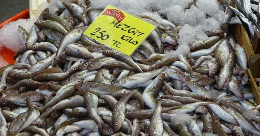 200-250 TL ile kapışılan en iyi ürün: Soğuyan havalarla fiyatı düşüyor!