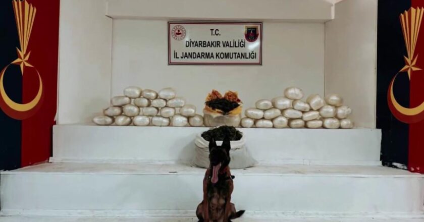 Diyarbakır’da Yüklü Miktarda Skunk ve Esrar Yakalandı