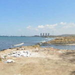 Cengiz’in bir milyon ‘nefesi’ yok ettiği bölgede 3 bin ağaç daha kesilecek – Son Dakika Çevre Haberleri